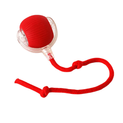 Jouet interactif intelligent pour chat